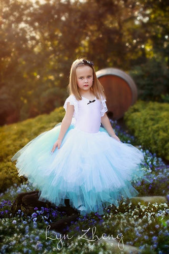 Alice Inspired Fairytale Outfit